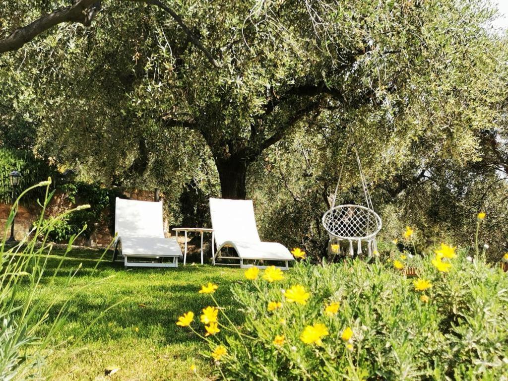 Agriturismo C'Era Una Volta Camporosso  Exterior foto