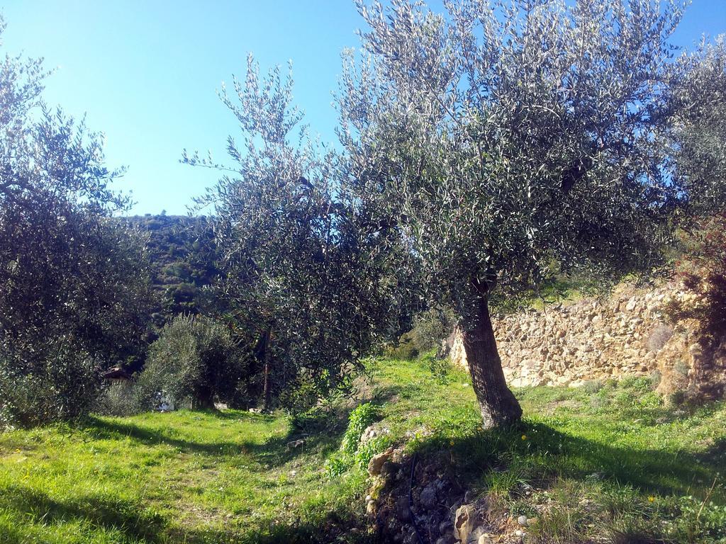 Agriturismo C'Era Una Volta Camporosso  Exterior foto